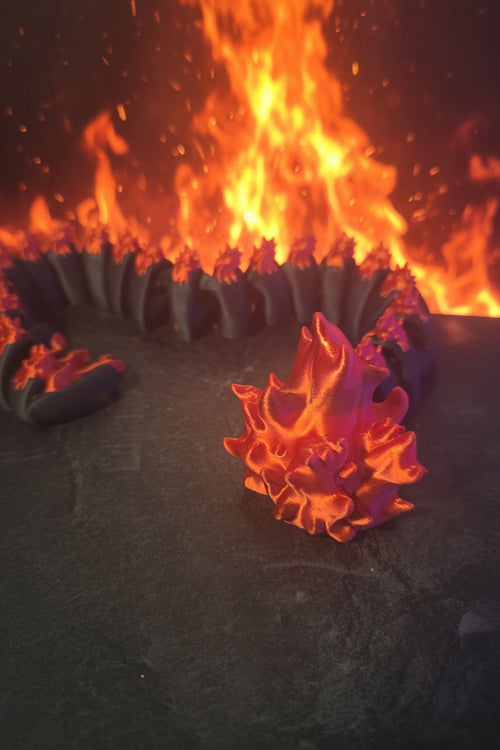 Fire Dragon